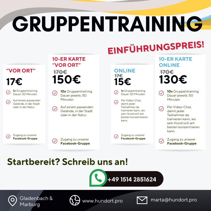 Aktuelle Preise fürs Gruppentraining