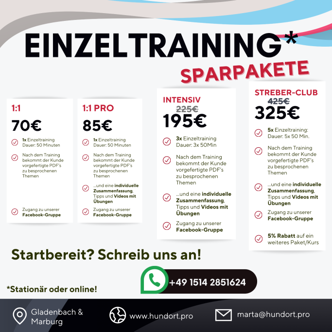 Aktuelle Preise fürs Einzeltraining